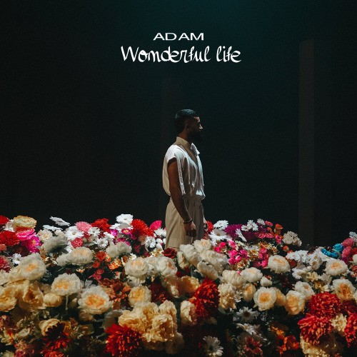 Adam – Wonderful Life