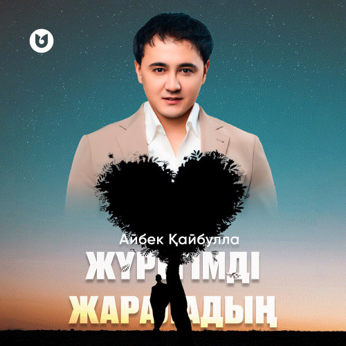 Айбек Қайбулла – Жүрегімді жараладың