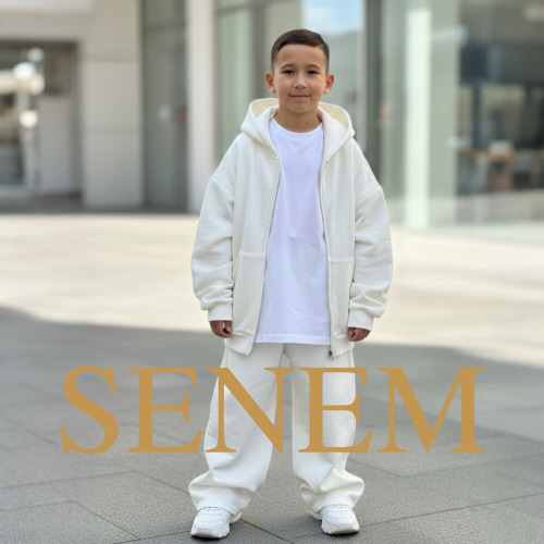 ALI – SENEM