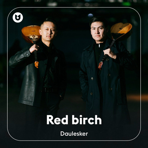 Daulesker – Red birch