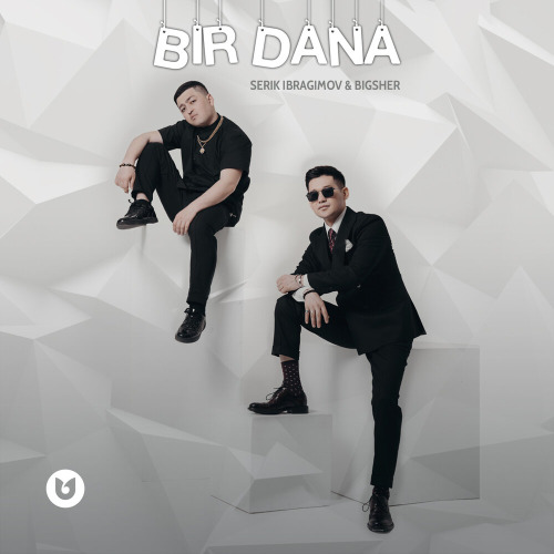 Serik Ibragimov & BigSher – Bir dana