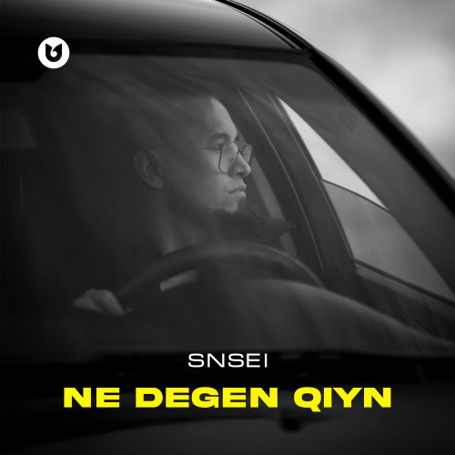 Snsei – Ne degen qiyn
