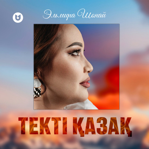 Эльмира Шонай – Текті қазақ