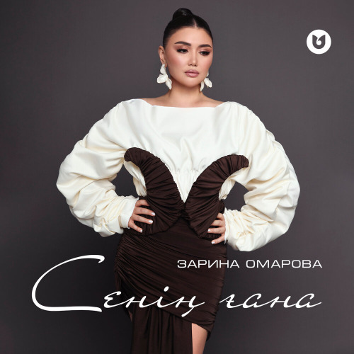 Зарина Омарова – Сенің ғана